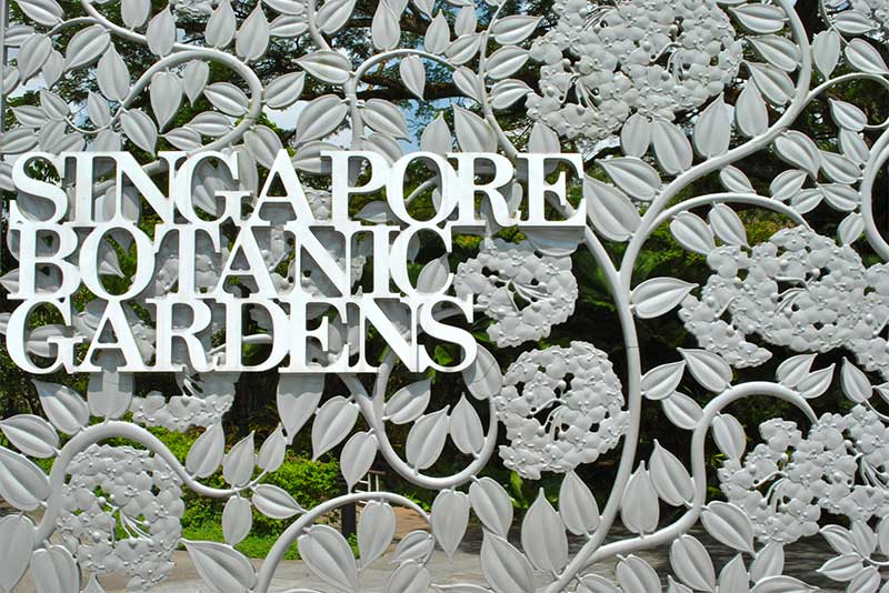 singapore-botanic-gardens